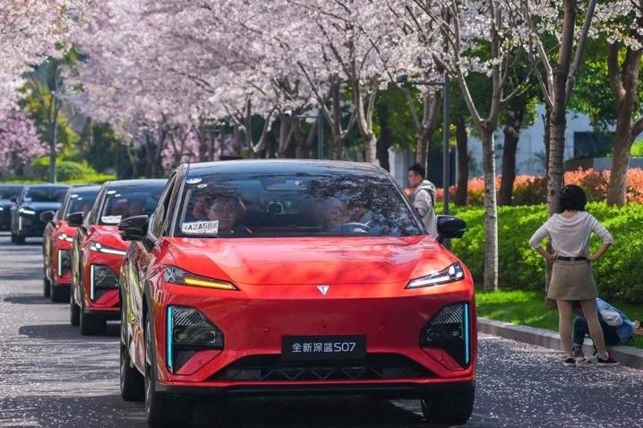 我把诗意寄春风
不写山河壮阔
不写繁花万种
只写藏在心底的温柔
与你有关的种种