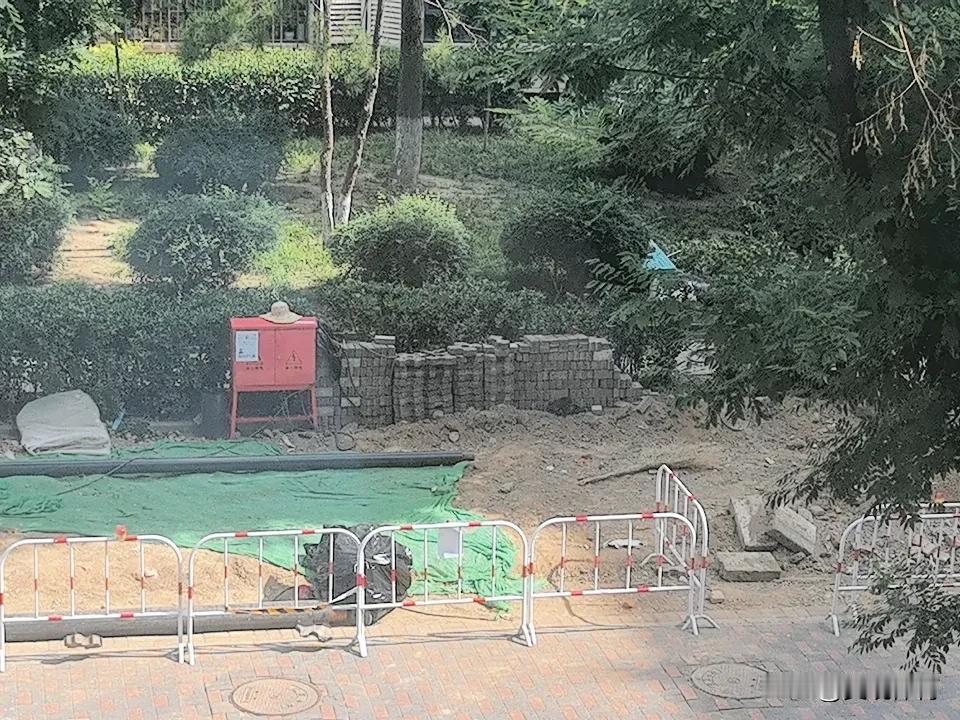 楼下连续数日更换地下水管，整天机器轰鸣，闹哄哄的。