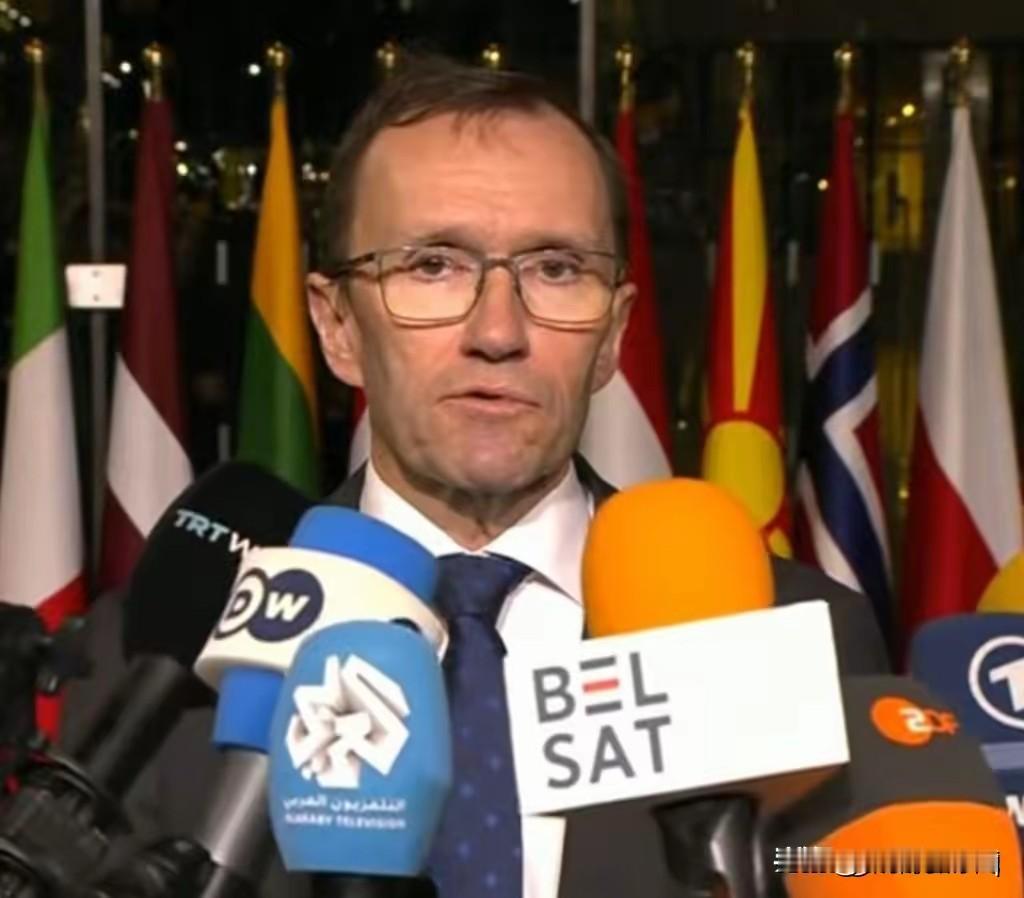 挪威有很多钱！
挪威外交部长巴特·艾德宣布，将向乌克兰提供5亿欧元，购买武器弹药