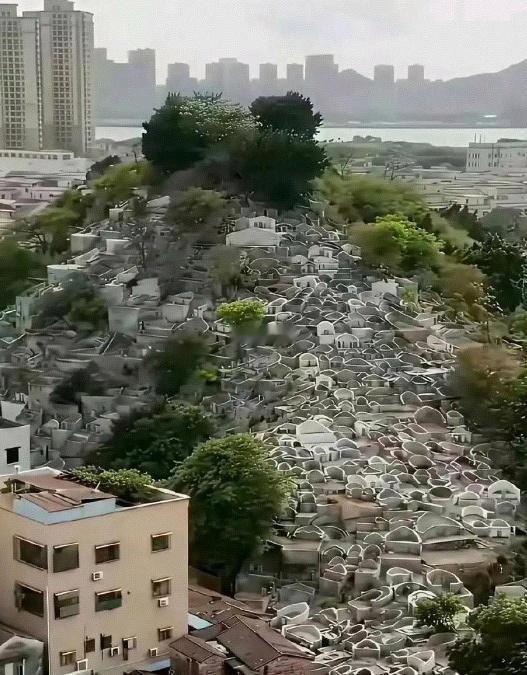 这就是多年后土葬的结果 