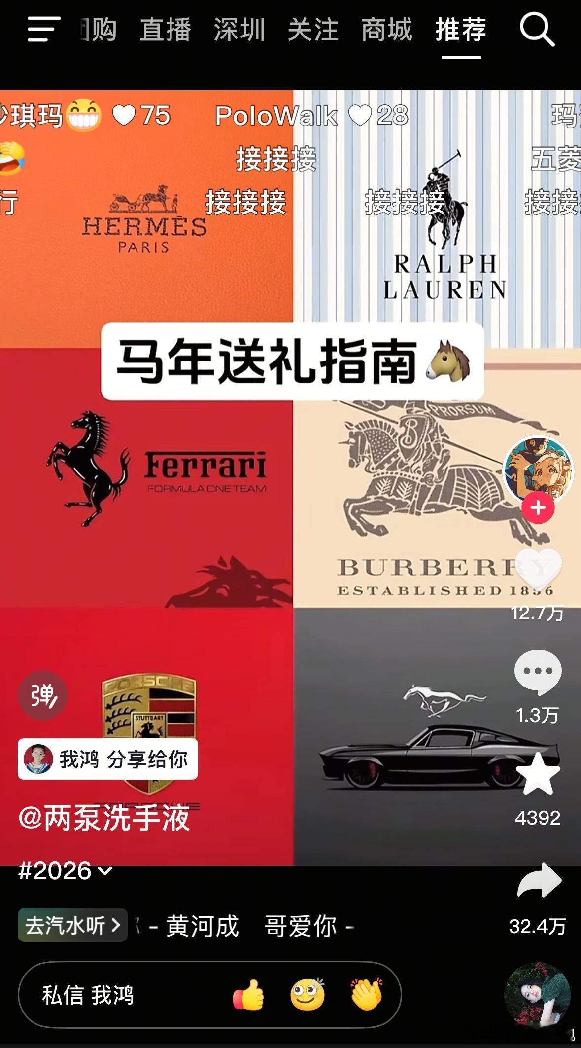 什么意思我鸿的恋爱日记