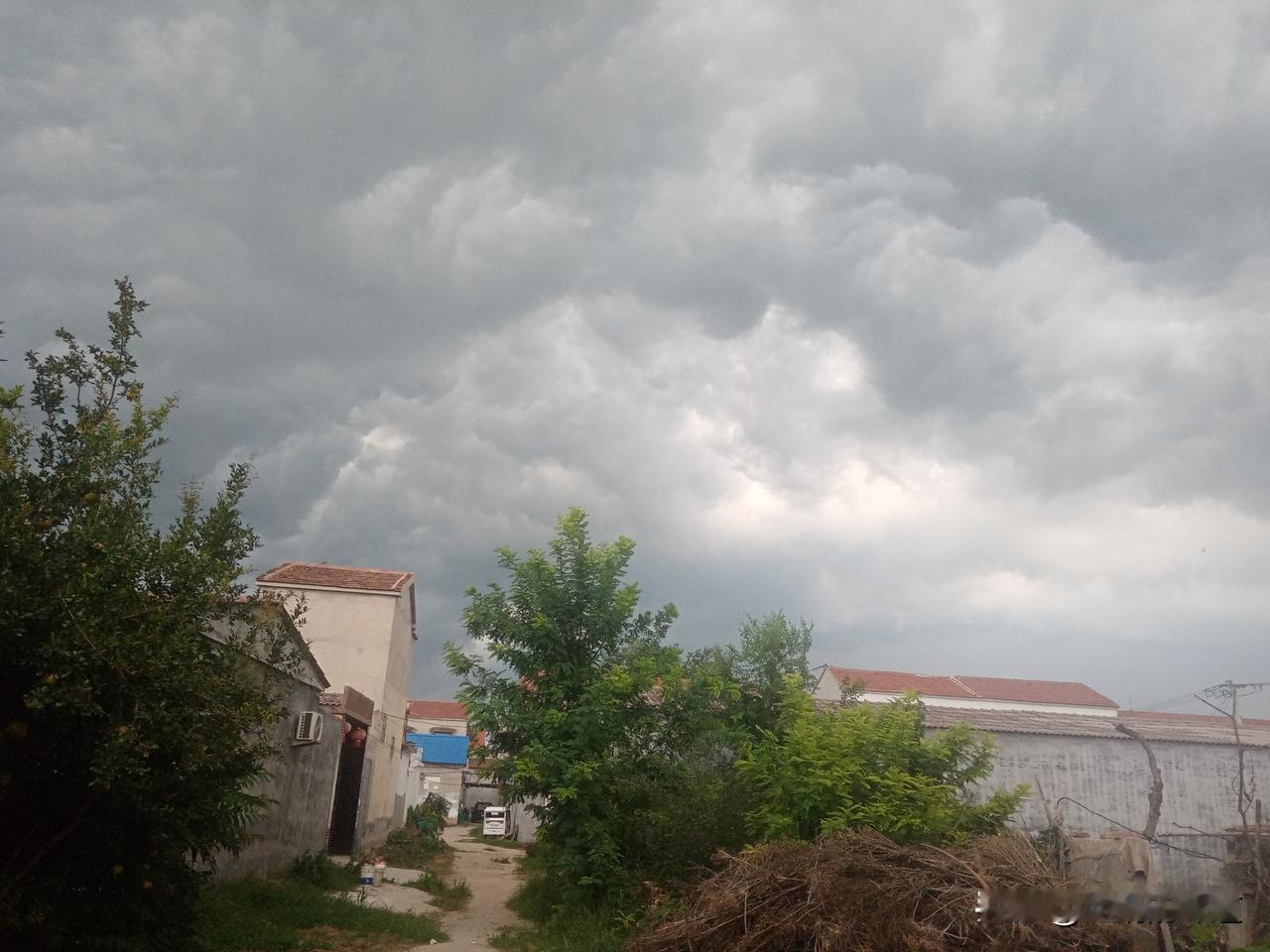 六月十七雨，粮仓装满米
六月十七水满塘，光棍也能娶新娘
六月十七雨淋头，乞丐讨饭