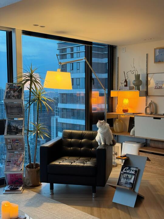 谁家沙发这么舒服！不出门的理由又多一个