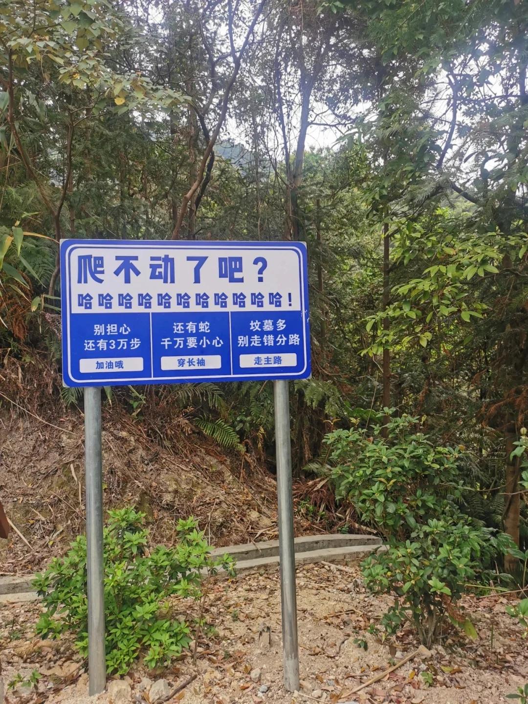 这也太能雷人了吧，要是遇到这样的山，你说你还爬不爬？