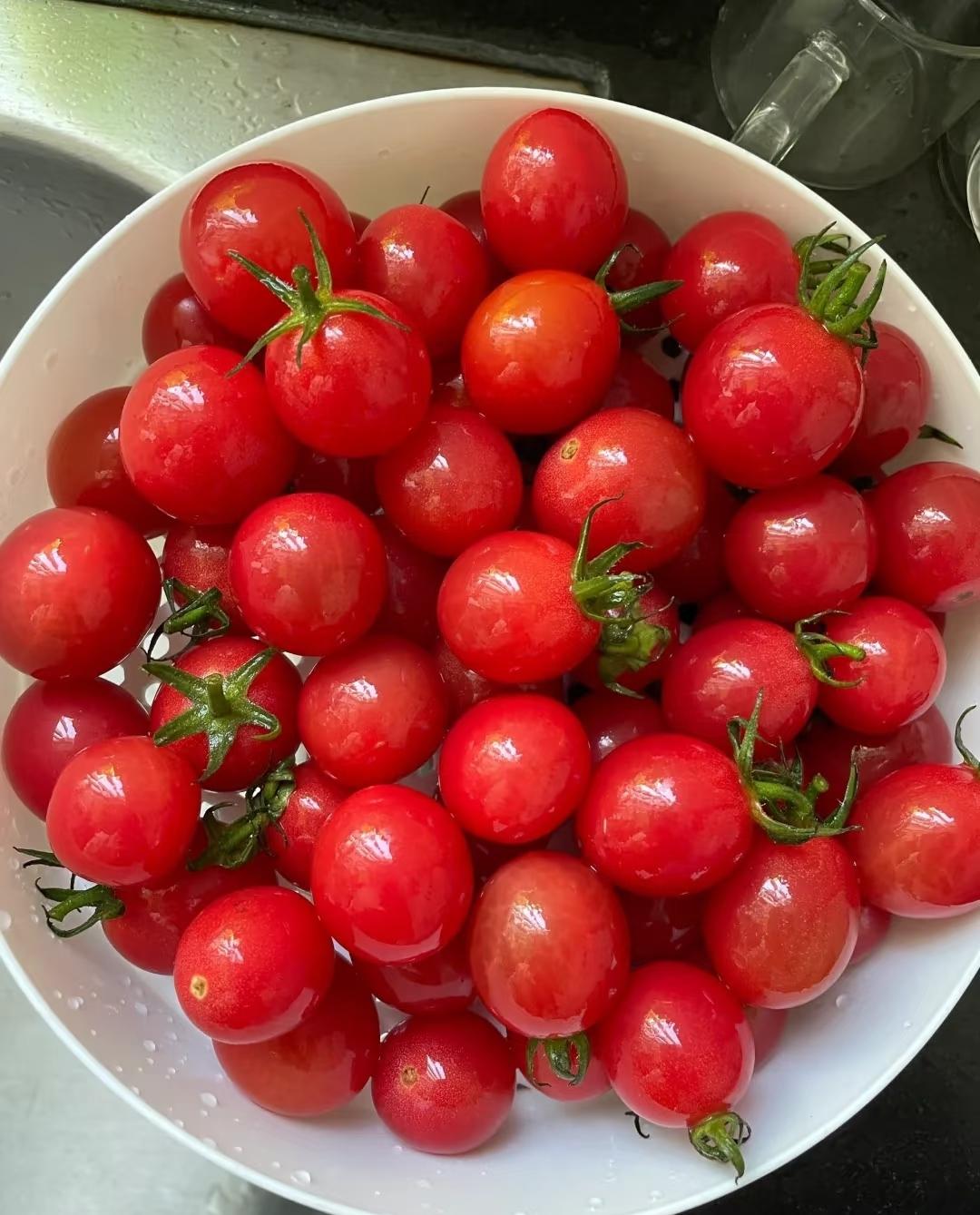 消费降级后，
蓝莓有点吃不起了，
小番茄反而越看越顺眼。

现在这日子，
赚钱不