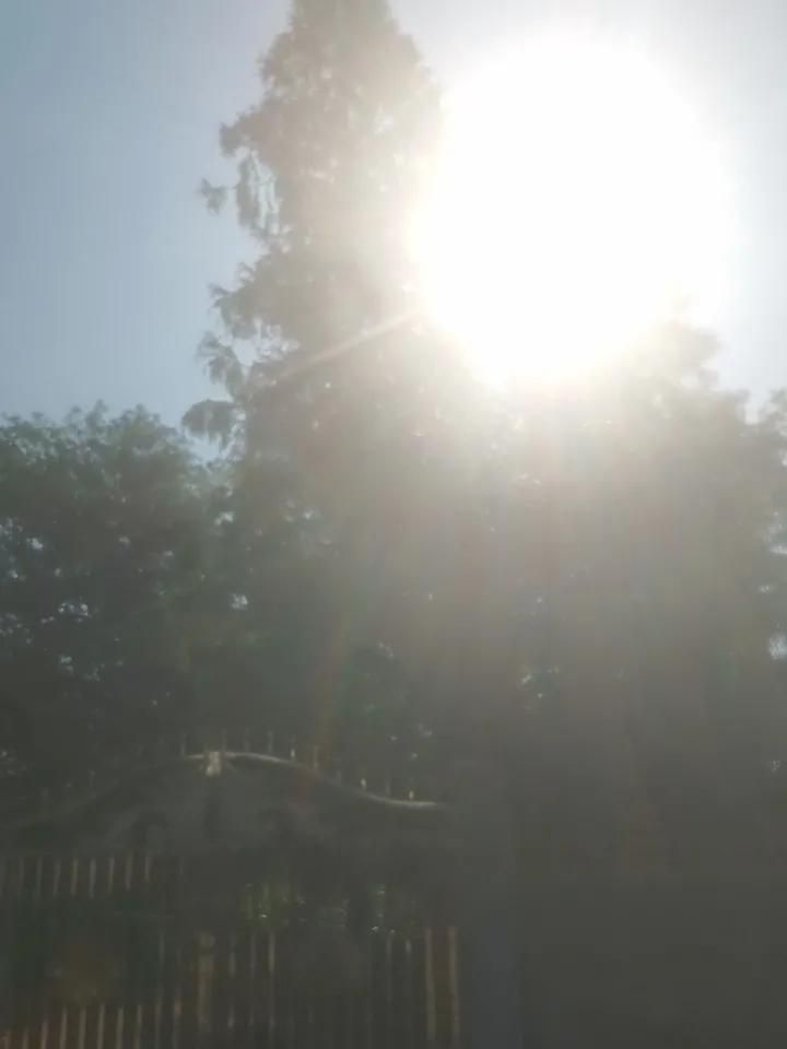 早晨收到气象台高温预警。
我们这里今天最高温度37度，局部地区可能达到39度。