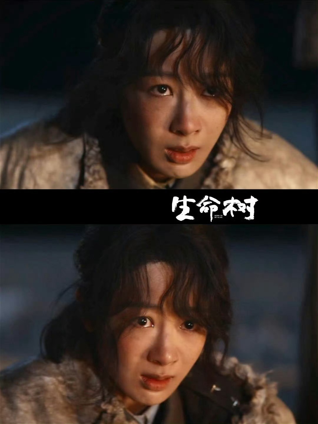 生命树 看了看生命树，杨紫演技在线，突破自我，高原风沙也挡不住她的光芒！首先，咱