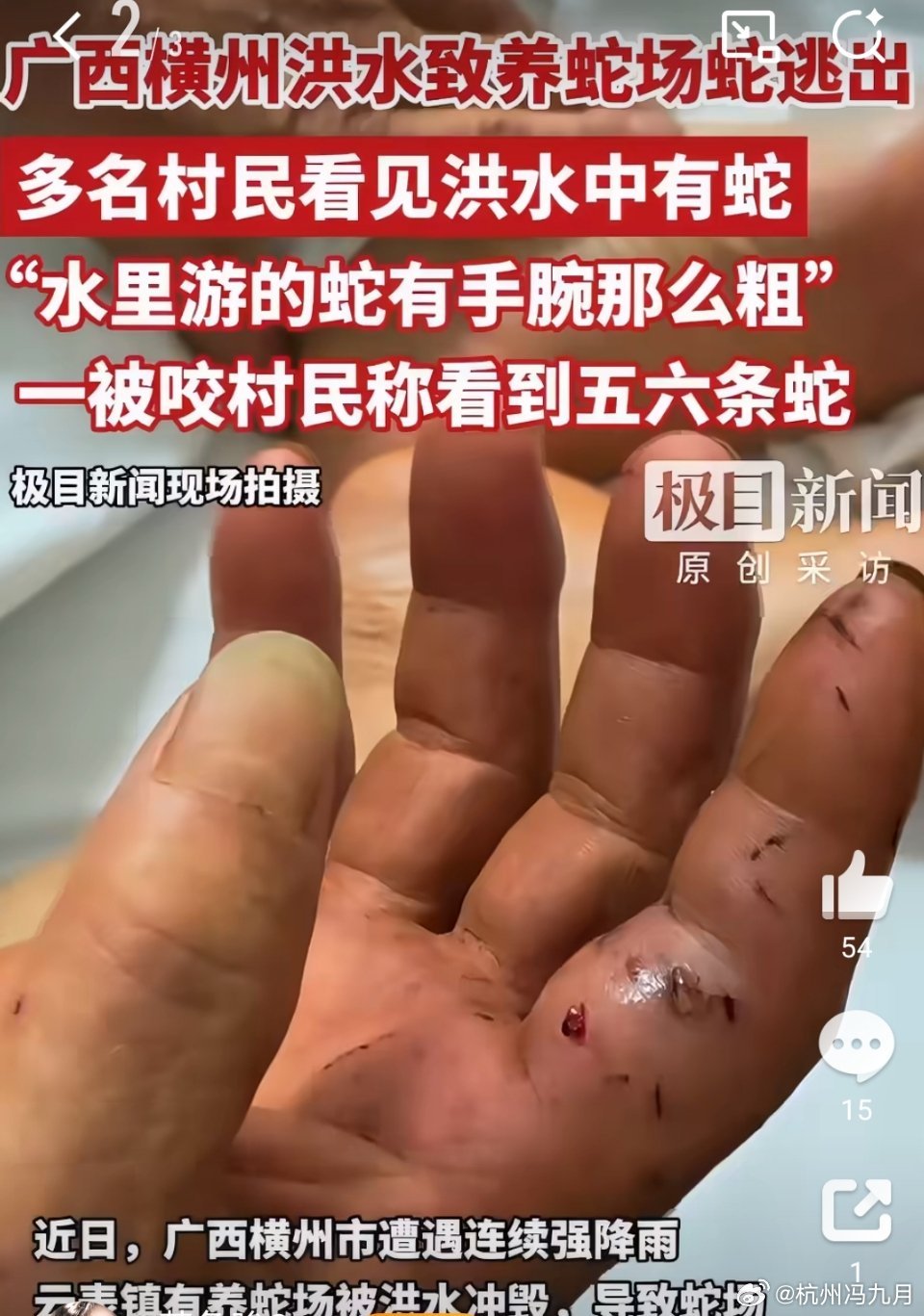 广西洪水致蛇出逃村庄现状“跑来跑去很多蛇，我们不敢回去了”横州村民讲述洪水过后惊