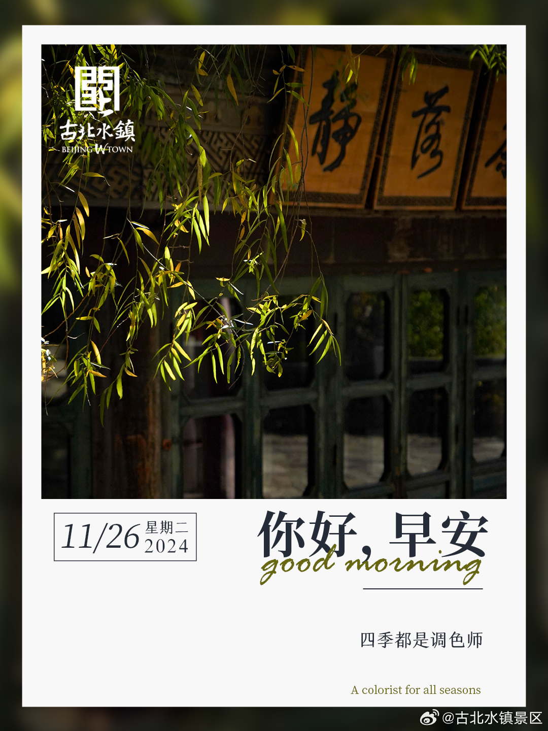 四季都是调色师早安，宝子们~ ​​​