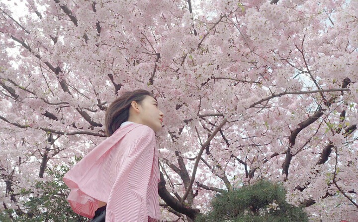 #宮脇咲良[超话]# さくら ​​​