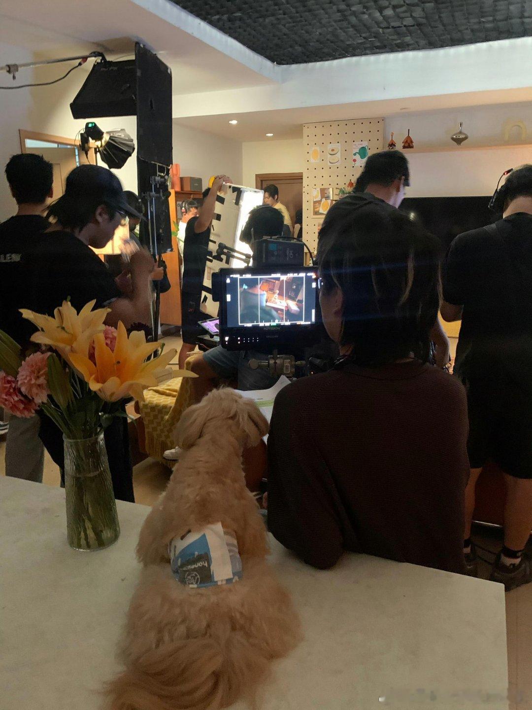 听到了女鹅憨憨的笑声🤭活力素是吧柳柳  周佑凌｜柳周cp