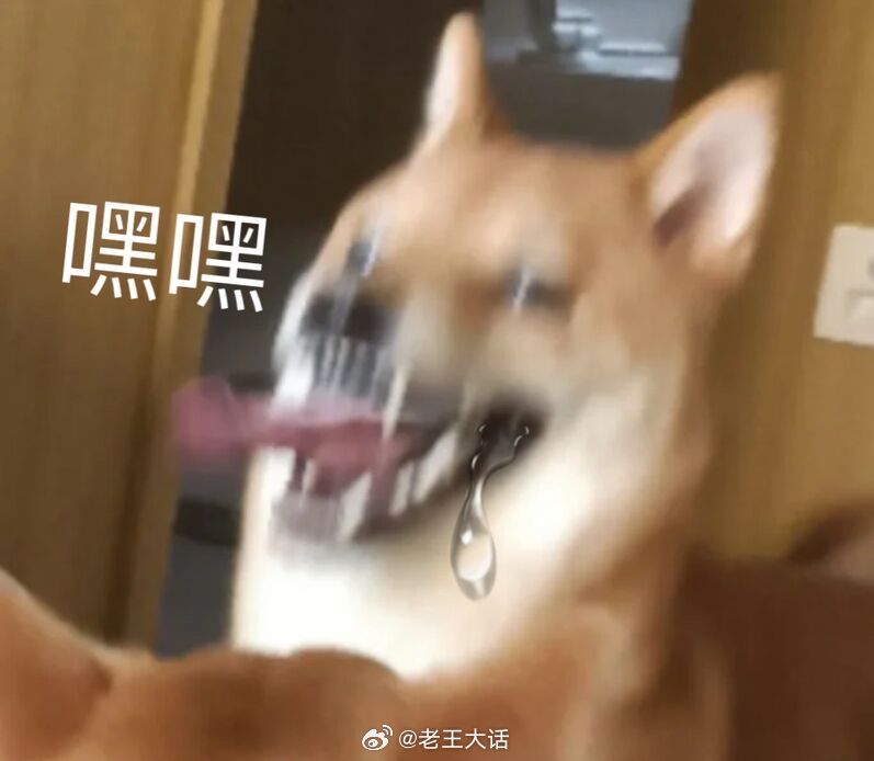 聊天必备表情包第686弹汪汪旺旺 ​​​（拿图吱声） ​​​