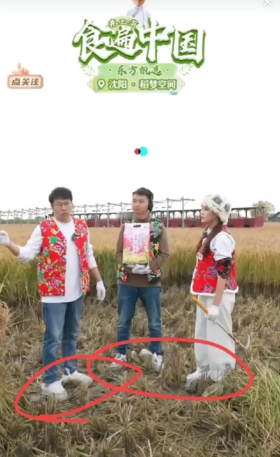 越来越看不懂了，老板摆拍，下属也摆拍，是真实展现还是故意引话题？


从来没见过