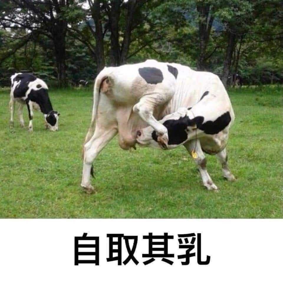 谐音梗 ​​​