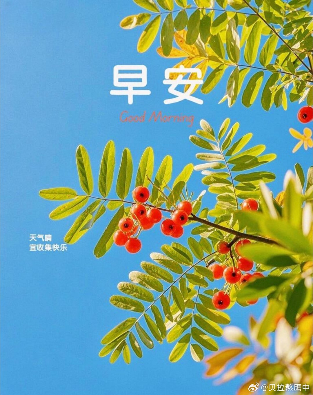 早安[超话] 学会放下心中的执念，接纳已经尘埃落定的往事，好好珍惜眼下拥有的一切