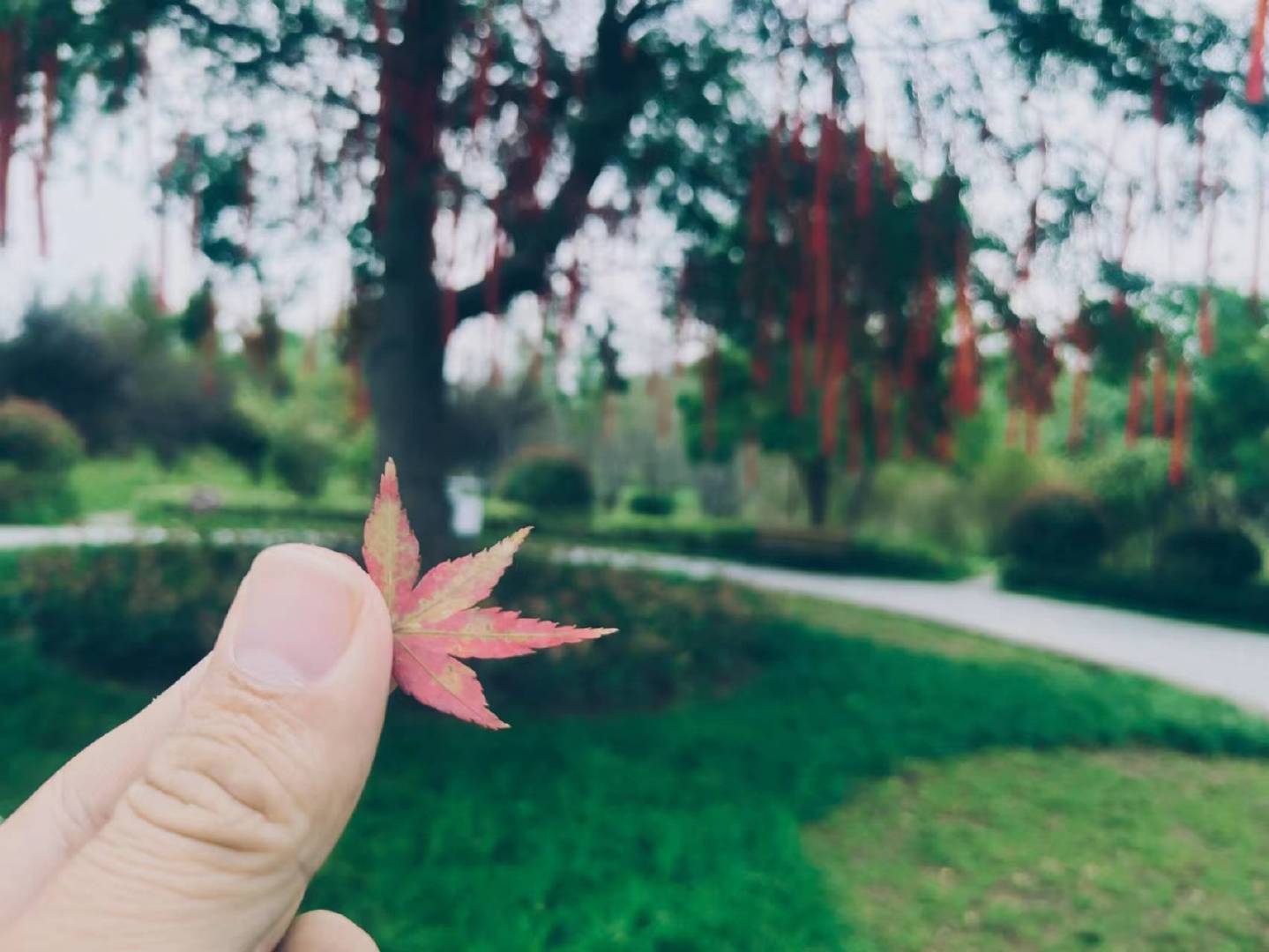 越是亲近的人，越要懂得客气与尊重。——《萤窗小语》 