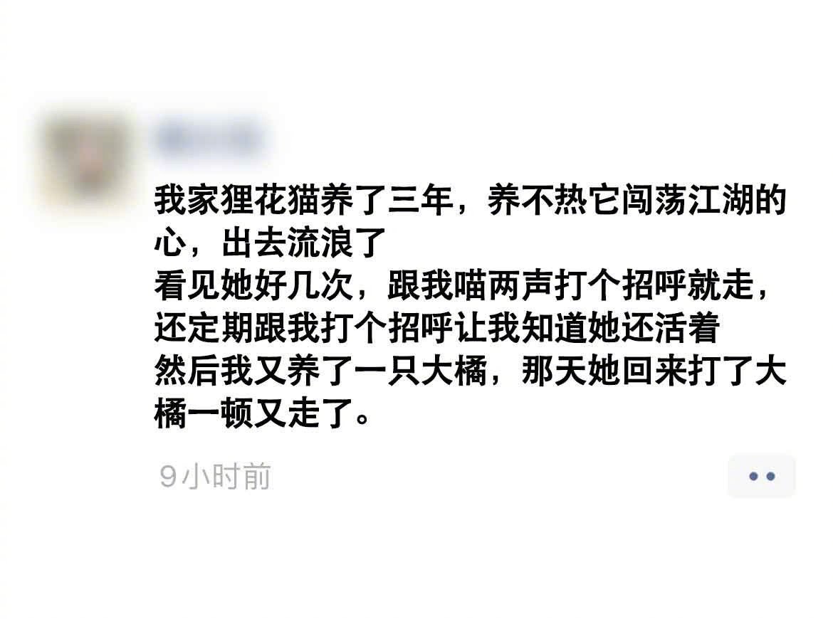 狸花：姐可以不在家，但家里不能忘了姐的传说 ​ ​​​