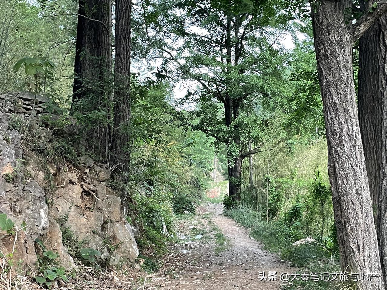 五一记忆，闲情游记。
大山深处，大秦笔记。
五一游山趣 五一游大山 五一玩游记 
