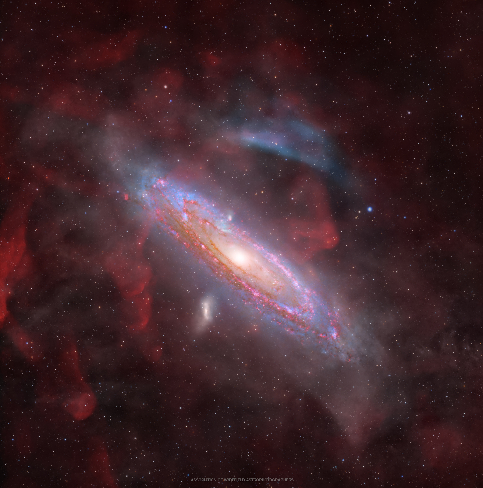 #每天一天文图# M31及周边特色 ​​​