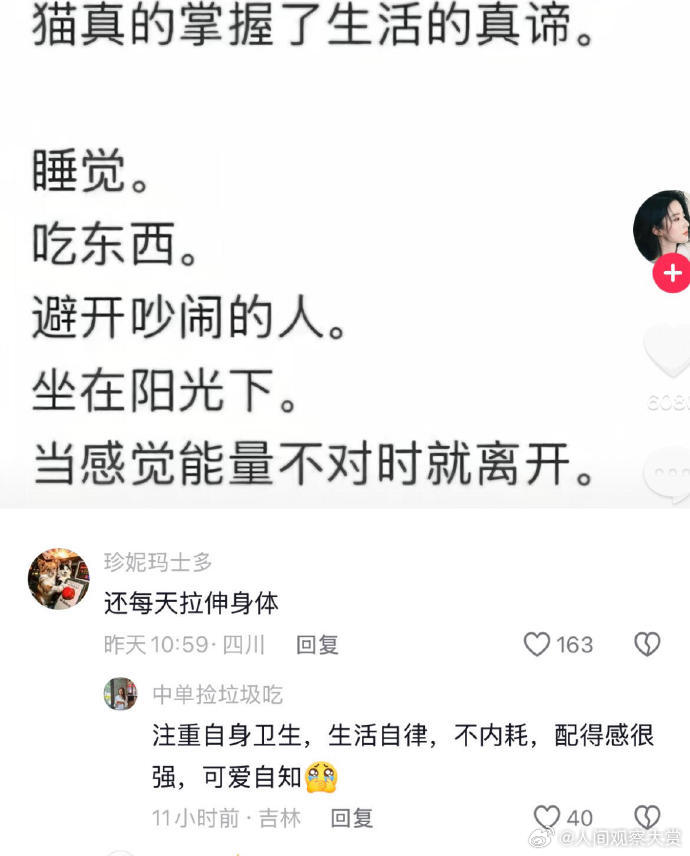 猫真的掌握了生活的真谛 