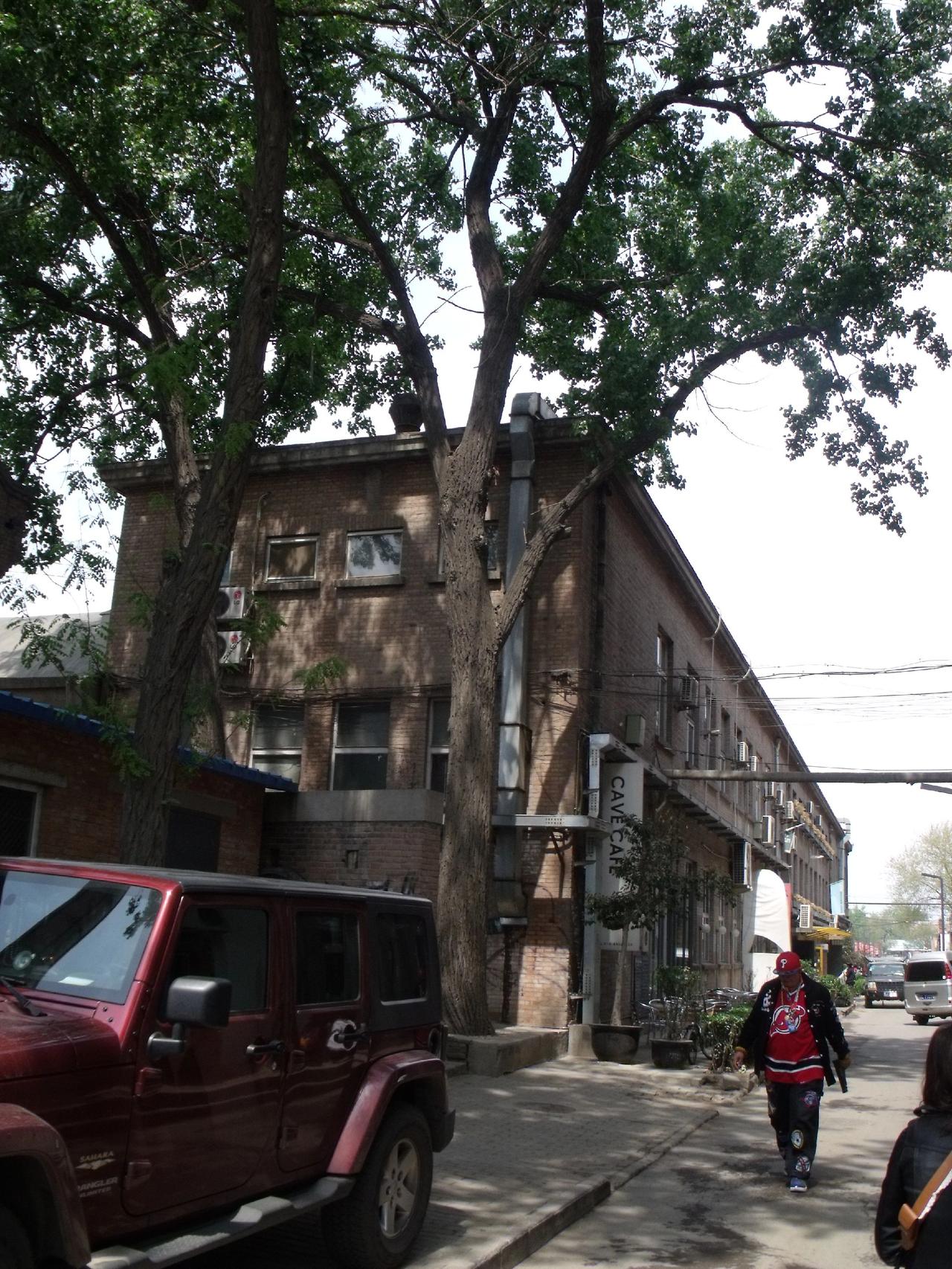 🚲林荫把光影剪成碎片，单车在老巷画问号。每个转角都是城市的盲盒🎁，你永远猜不