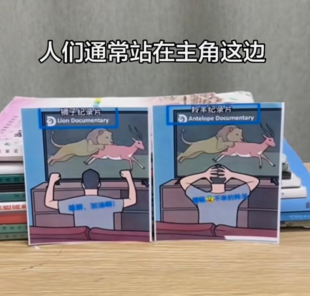同样是看这个纪录片，你是会代入狮子的视角还是羚羊的视角？
