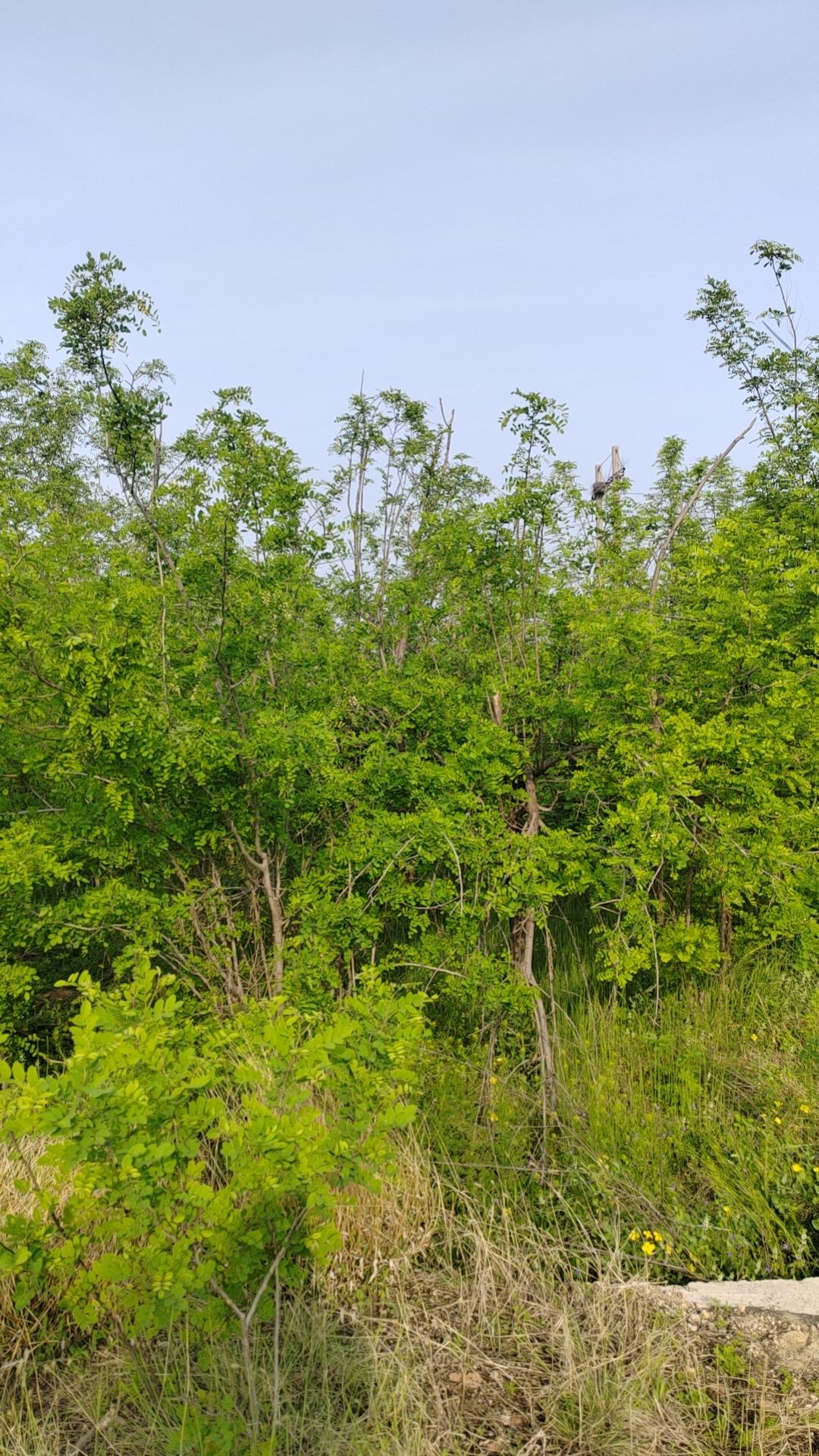 上周月考后，几个考个位数的孩子照样上课不听，读书不读，完全躺平！你走下讲台说他们