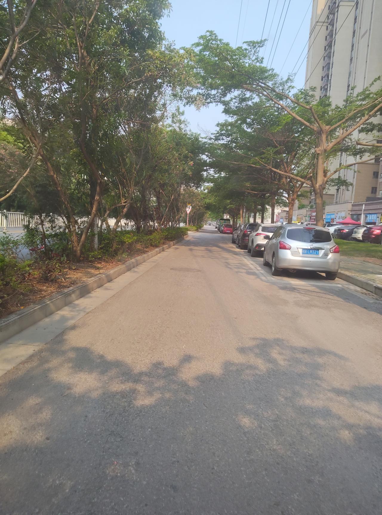 阳光洒满的街道，绿树成荫，宁静而美好。