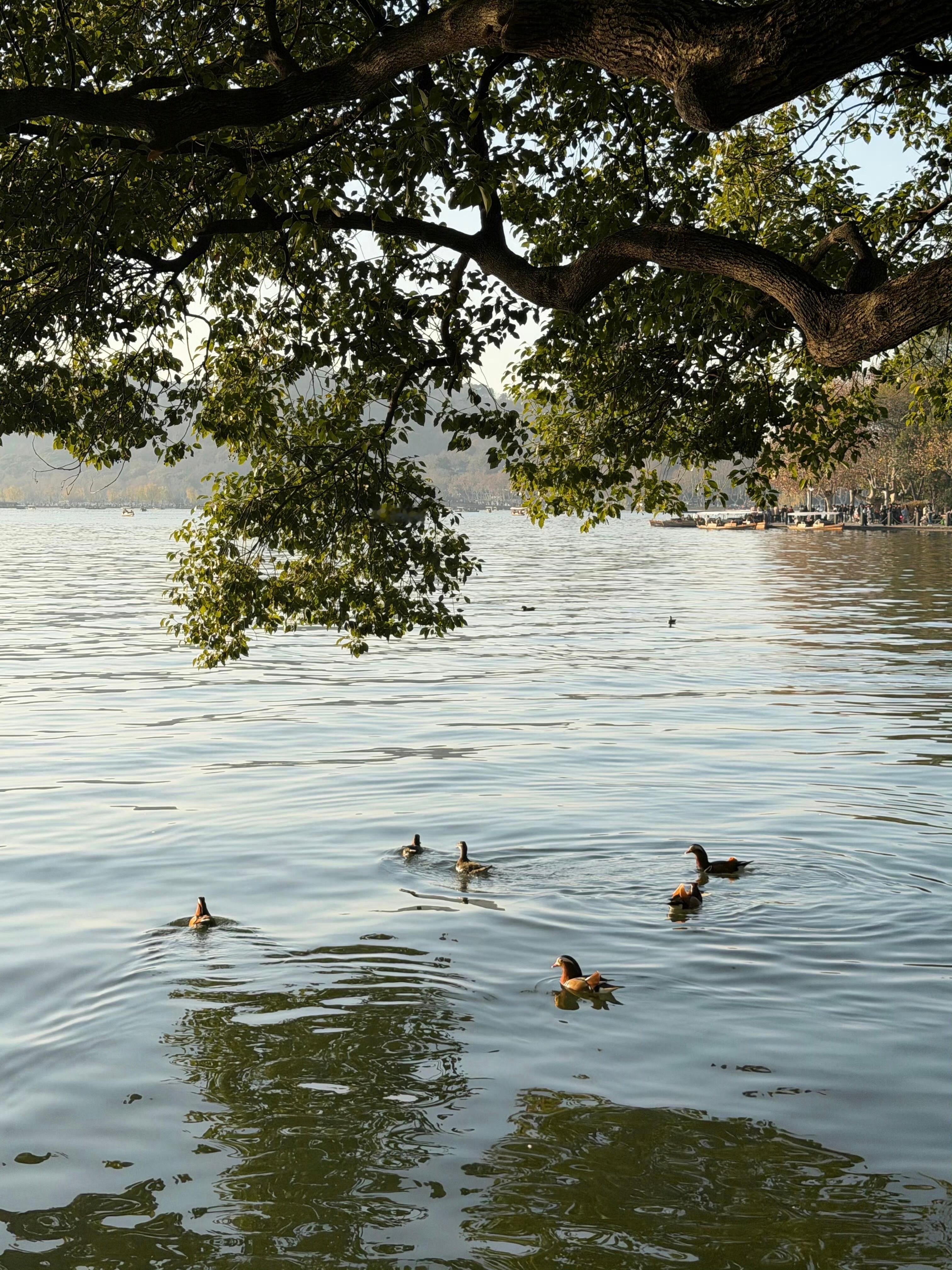 其实我非常不相信“刀子嘴豆腐心”大家完全可以回顾一下，所谓的“刀子嘴豆腐心”之所