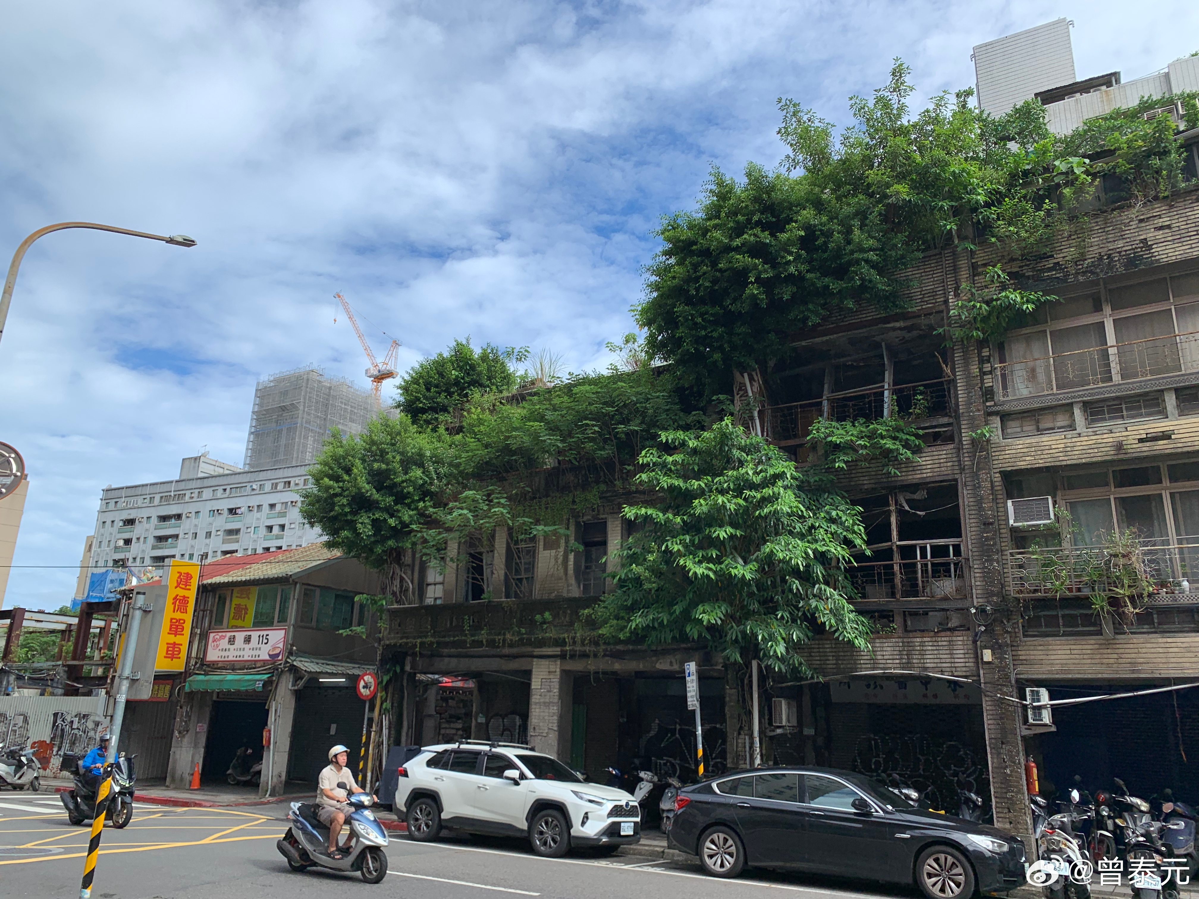 一个废弃N年的临街楼房，到现在还是静静地伫立着，茂密的绿植（主要是榕树），都已经