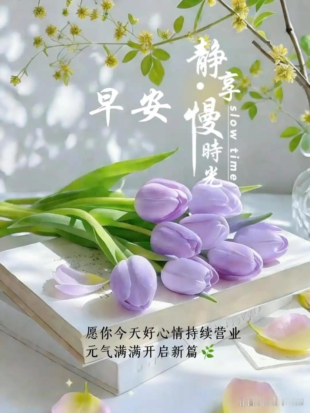 早安！主体性强到没边的一段话新的一周从周日开始铺垫美好，熬夜的人才是真正的高精力