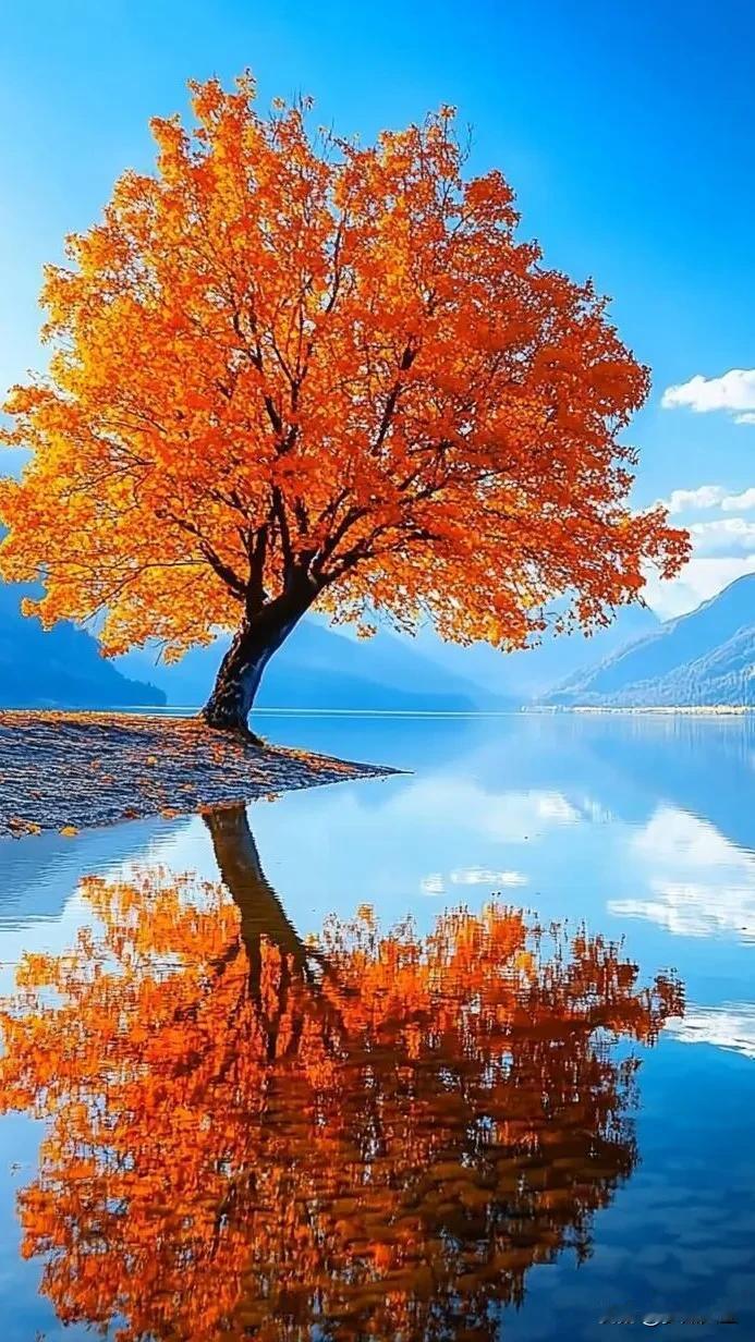 #秋日生活打卡季##秋冬美景手摄# #随手拍秋季景色# #秋风照片# #秋景生活