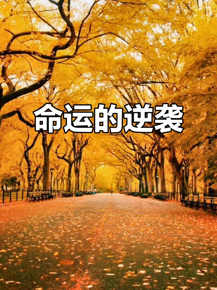 我不太同意“人的命运天注定”这种说法。
如果信了这个观点，就会觉得生活里的挫折和