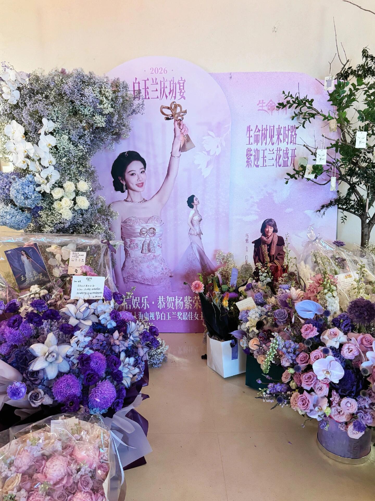 淘淘氧棉和apm之间是啥品牌 