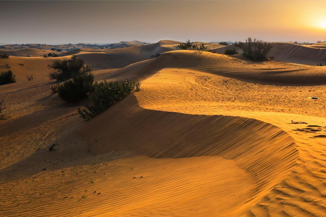有人给治理塔克拉玛干沙漠，出了个怪招。不种树，不砸钱浇水，给整个沙漠盖上一层“被