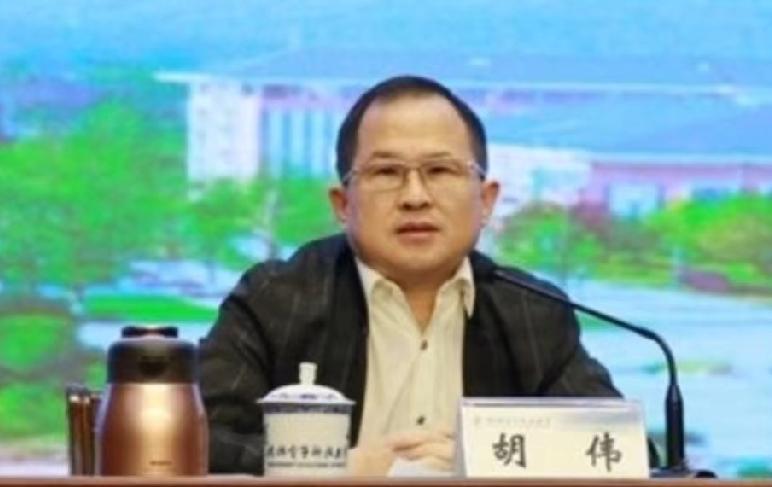 胡伟说了几句话，网上炸了锅，党校给了处分。

事情没那么复杂，但传着传着就变了味