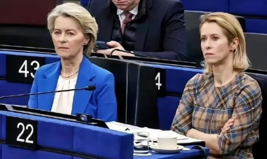 欧尔班失败后，冯德莱恩非常开心地宣布：匈牙利选择了欧洲，欧洲也始终选择匈牙利，匈