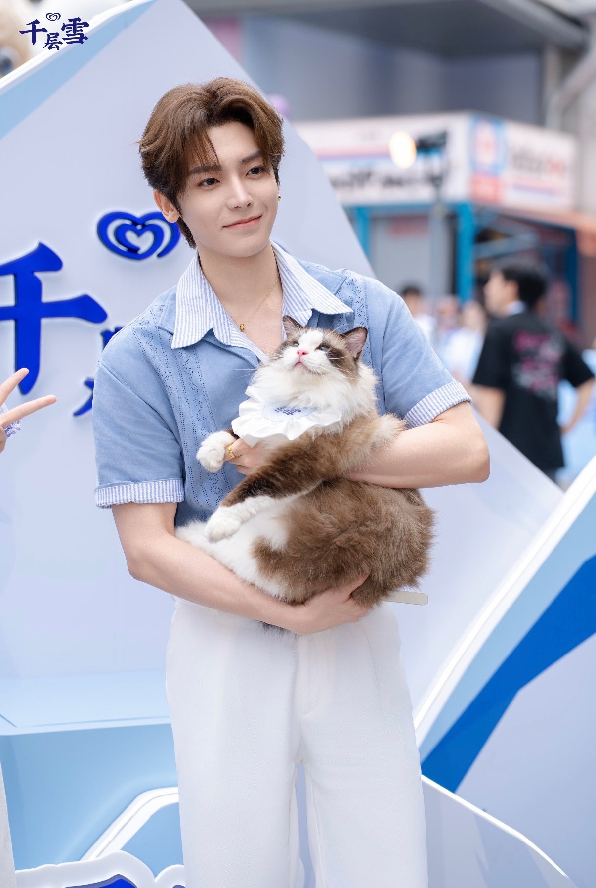 🐱:咪的天 这个侯明昊好帅 