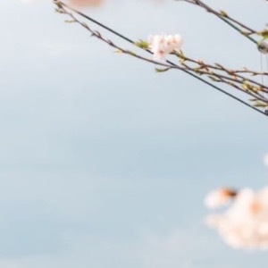 生活手记  向海风许愿在山海相见 