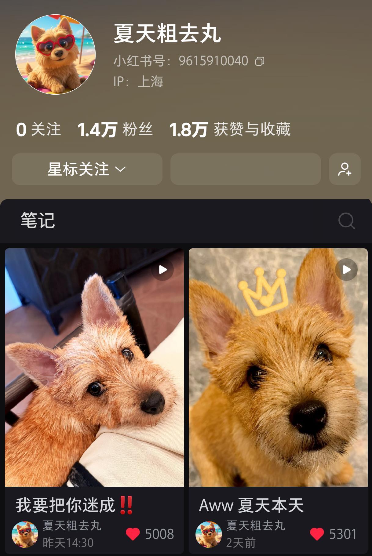 黄景瑜的狗📕开通，无宣发，无认证，无烫搜，无推流，纯粹的口口相传，72小时涨粉
