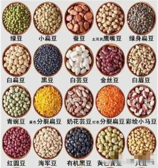 观豆识豆百种