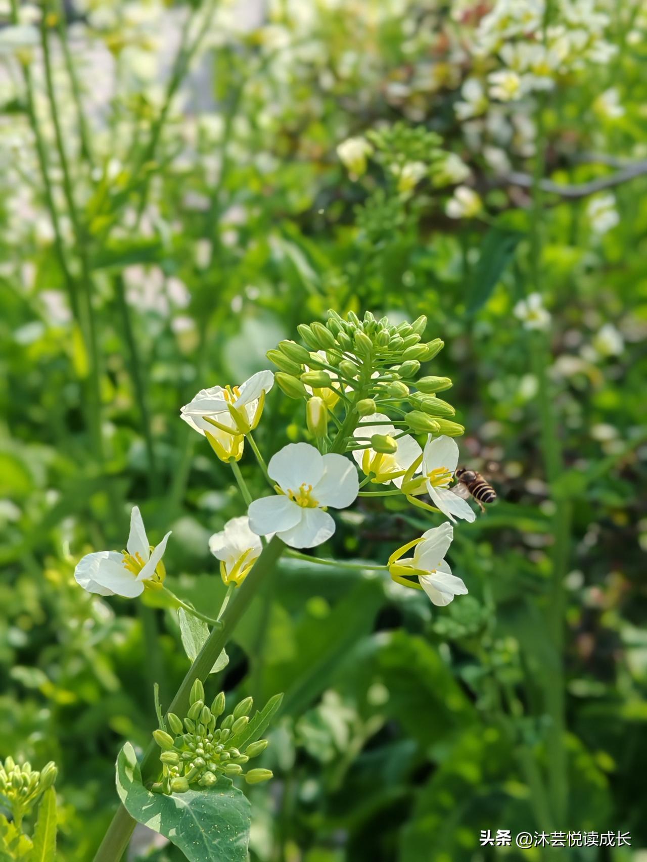 退休之后，你是不是也觉得，人生就这样定型了？
 
我以前也这么以为，直到我开始拿