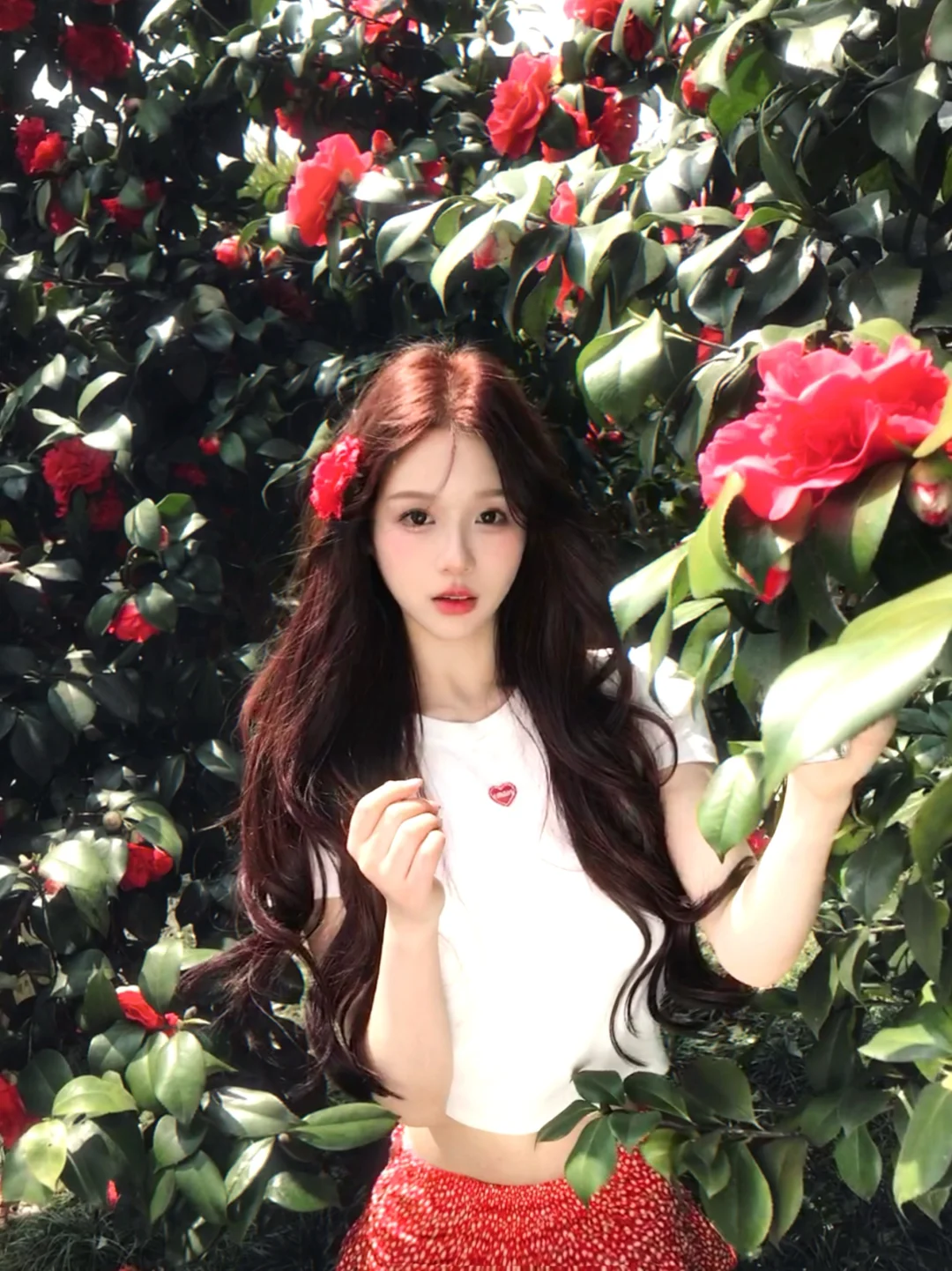 这世界 不停的开花🌺