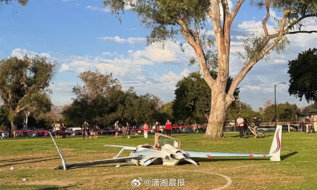 【#美国聋哑女子在公园遛狗被飞机撞伤#】#美国一飞机迫降至公园后撞伤聋哑女子#近