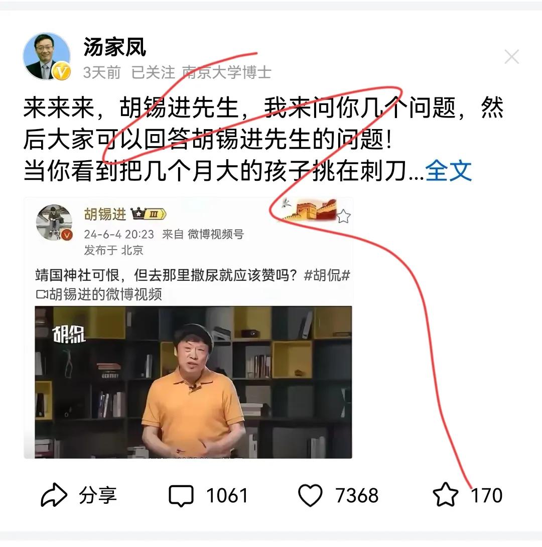 汤家凤发文痛斥胡锡进：历史伤痕未愈，岂能轻言和解？评论区炸开锅：网友呼吁严查，捍