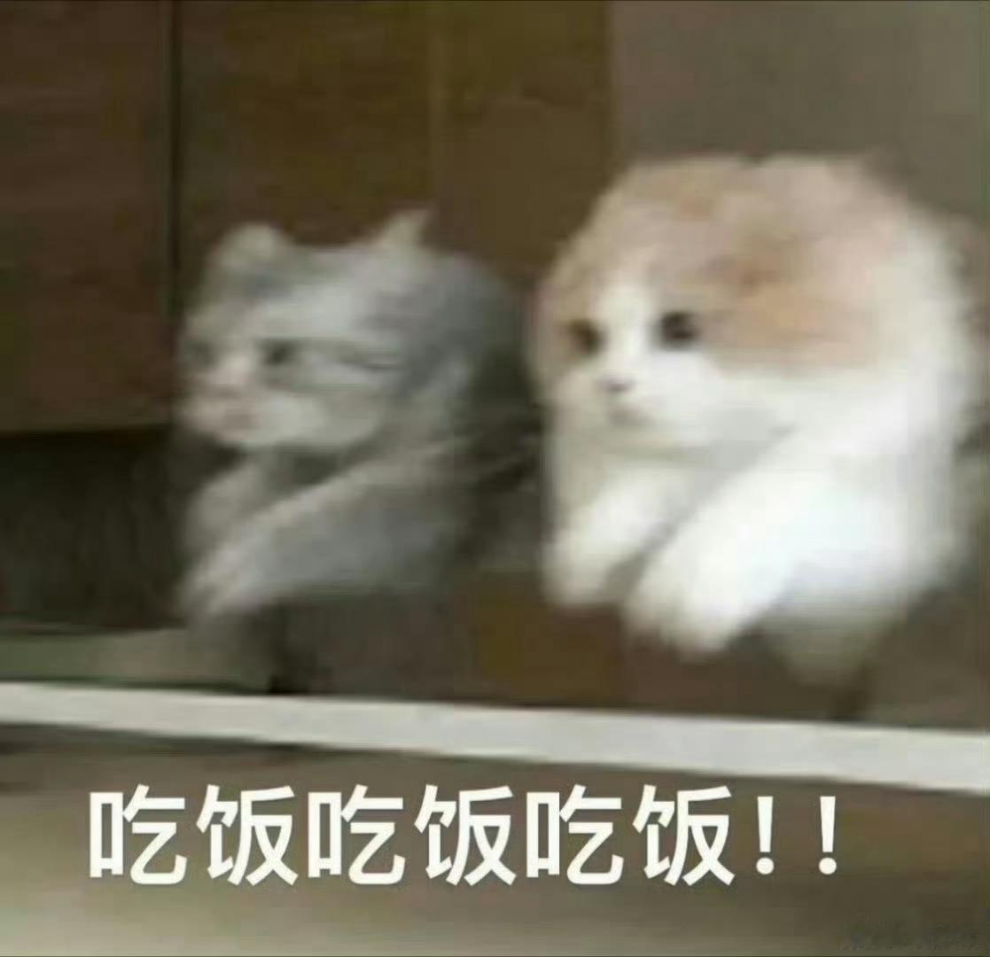 干饭时间到！宝子们晚上吃的什么？