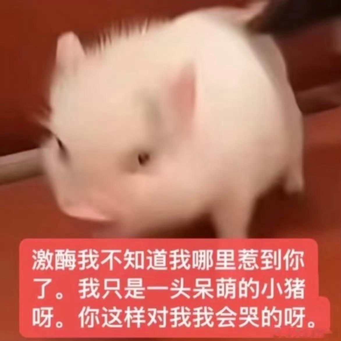 当我早上上班开车到地下停车场，发现除了我们公司同事车没其他车的时候我就知道这个公