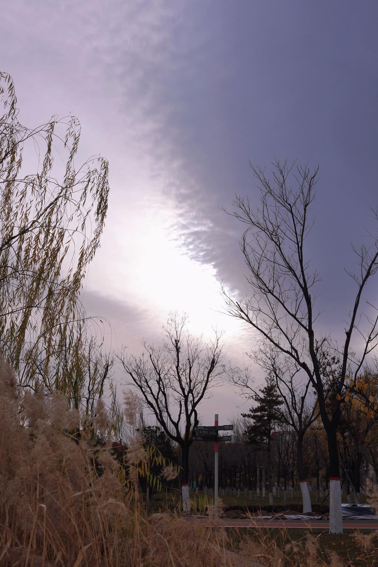 人像摄影约拍跟拍晋阳湖公园偶遇随拍原创原图直出照片摄影师的成本不只是时间和设备还