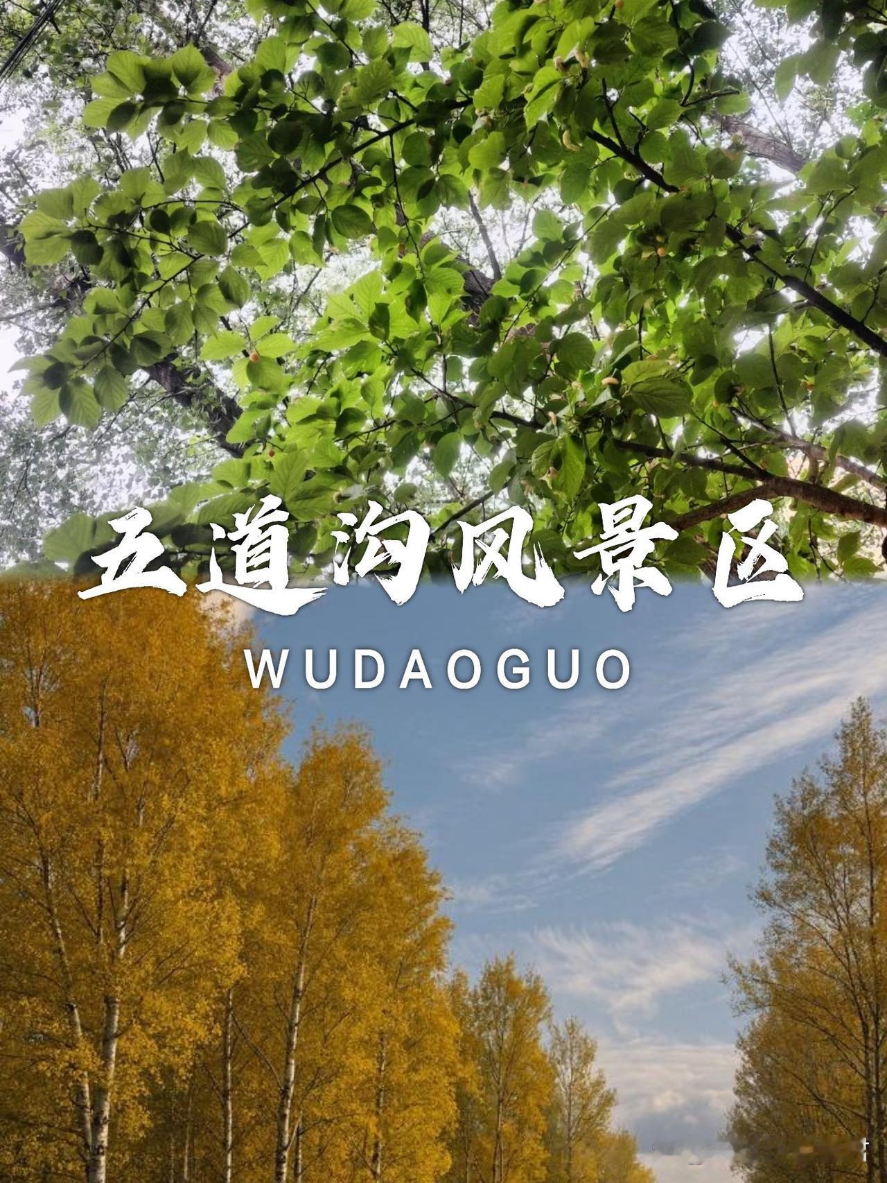 承德一日游攻略｜五道沟徒步+秘境打卡

想避开人潮享受自然？这份保姆级攻略快收好