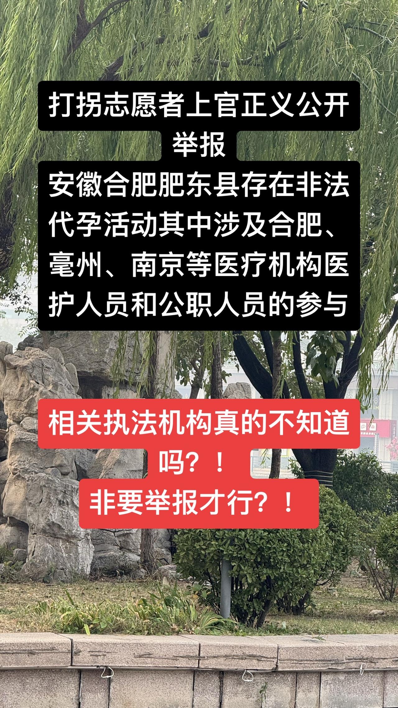 安徽合肥一医疗机构涉嫌代孕